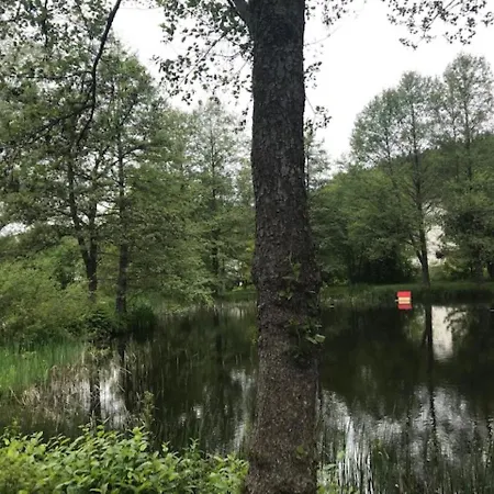 Myschluchseehome Gemuetliche Ferienwohnung Mit Suedbalkon Und Pool Im Haus Exterior photo