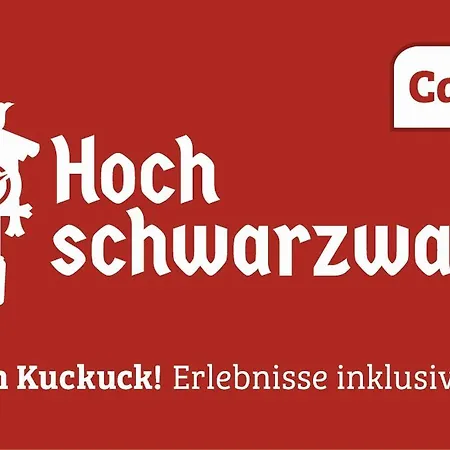 Myschluchseehome Gemuetliche Ferienwohnung Mit Suedbalkon Und Pool Im Haus Exterior photo