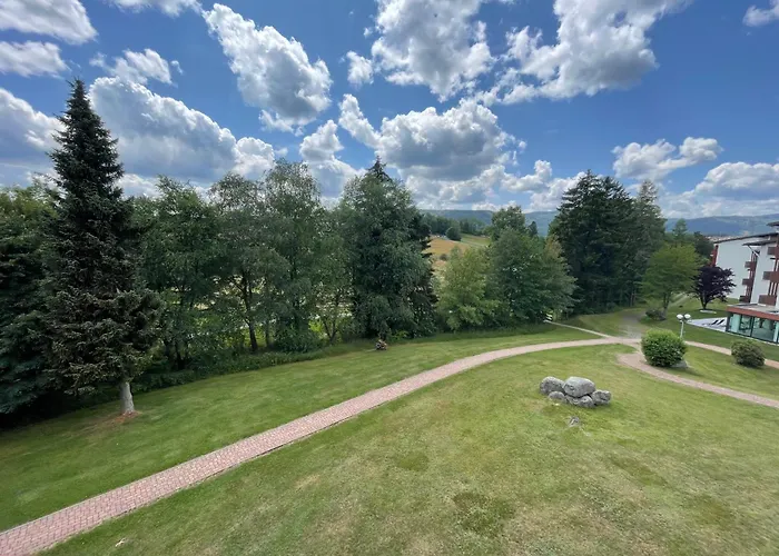 Myschluchseehome Gemuetliche Ferienwohnung Mit Suedbalkon Und Pool Im Haus