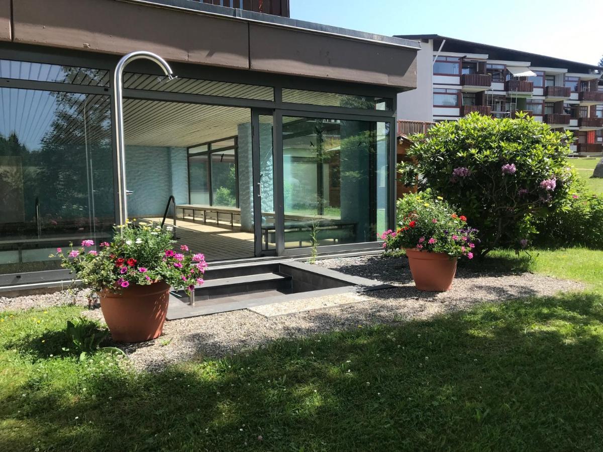 Myschluchseehome Gemuetliche Mit Suedbalkon Und Pool Im Haus