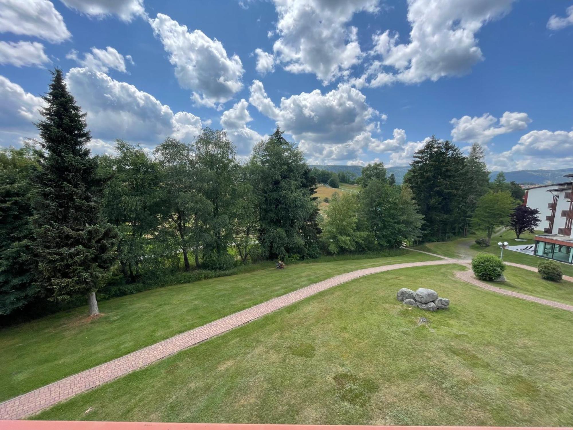 Apartment Myschluchseehome Gemuetliche Mit Suedbalkon Und Pool Im Haus *